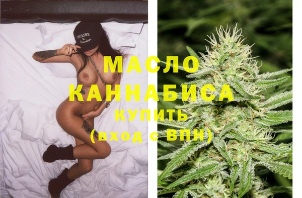индика Медногорск