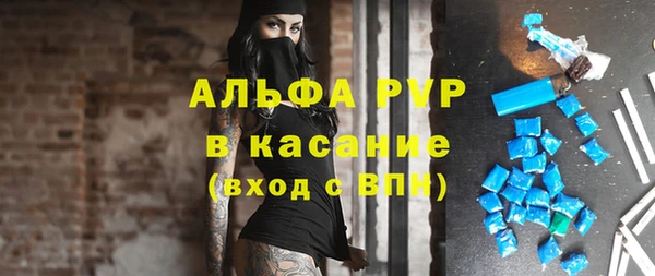 индика Медногорск