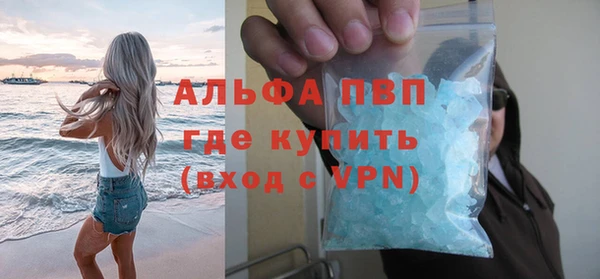 индика Медногорск