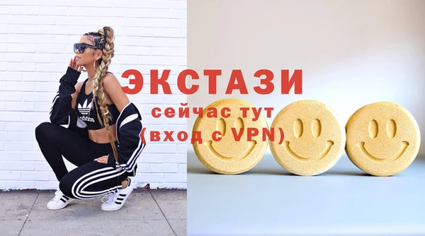 индика Медногорск