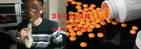 индика Медногорск