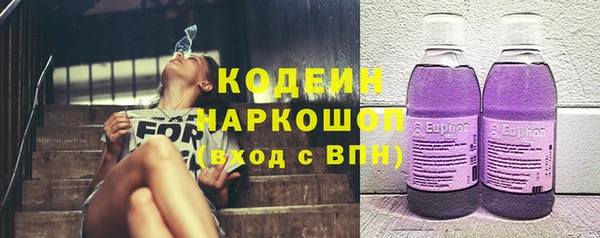 индика Медногорск