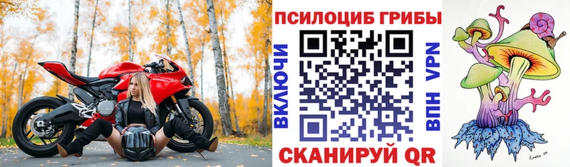 Псилоцибиновые грибы Psilocybe OMG сайт Холмск